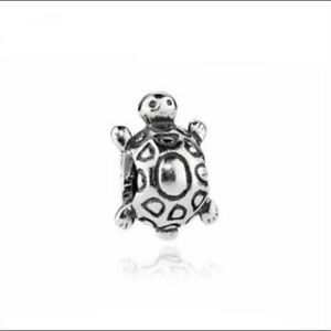 turtle pandora charm